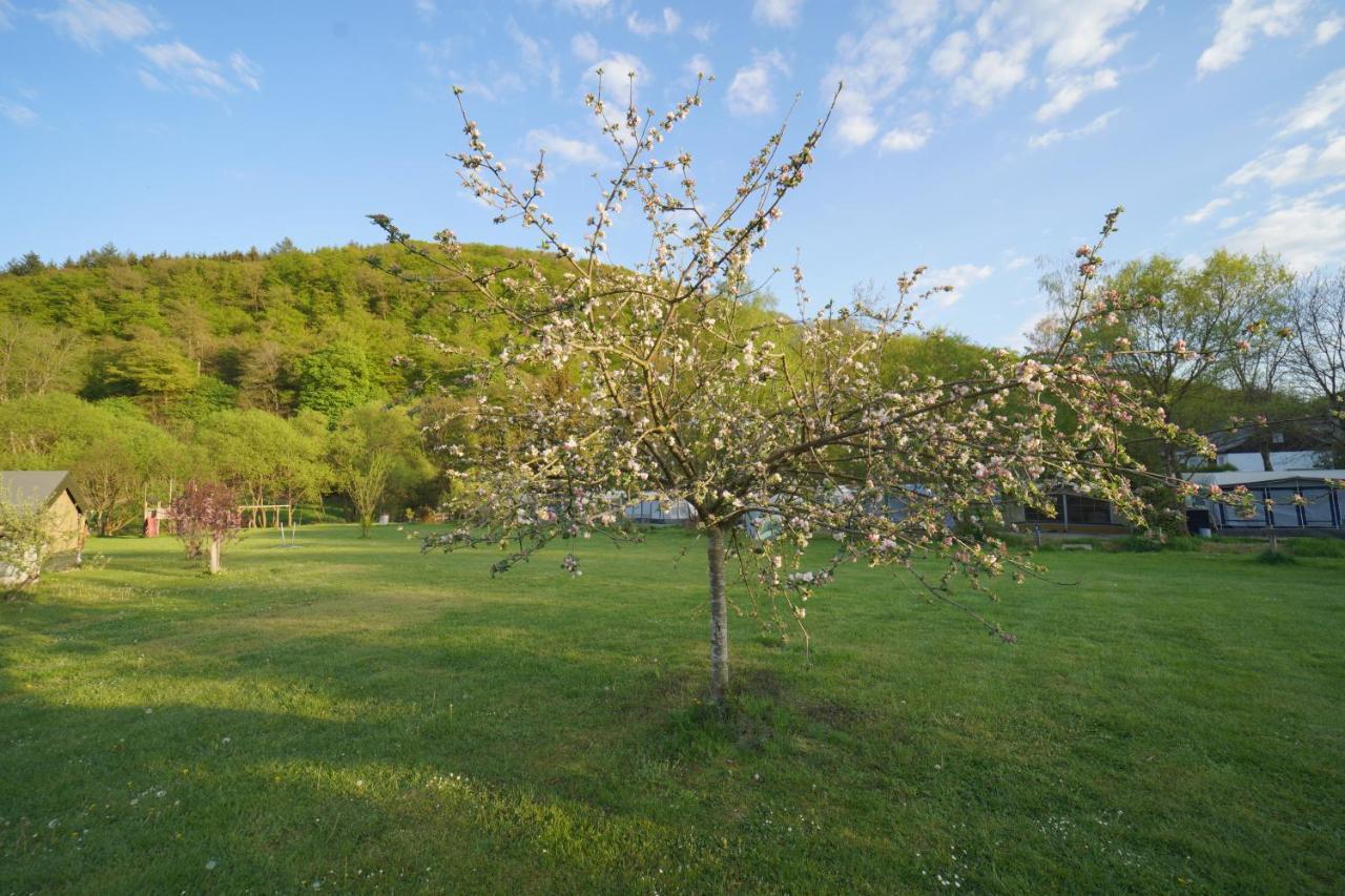 Safaritent Op Camping Berkel Bockholtz Экстерьер фото